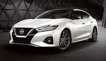2023 Nissan Maxima in Nissan of Cookeville in Cookeville TN