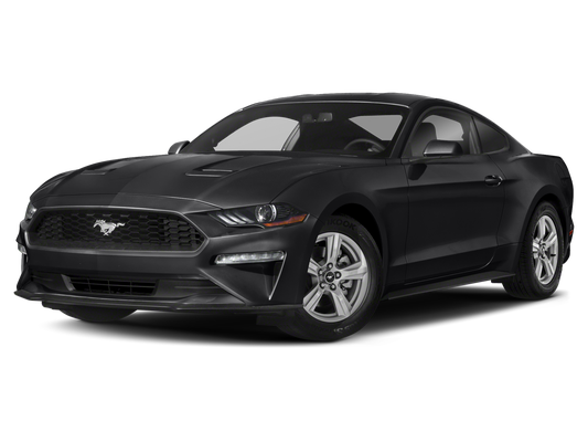 2021 Ford Mustang EcoBoost in Cookeville, TN - Nissan of Cookeville