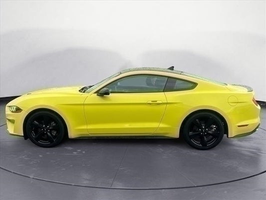 2021 Ford Mustang EcoBoost in Cookeville, TN - Nissan of Cookeville